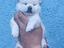 Immagine 1