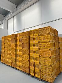 Cassette per frutta ortaggi e verdure