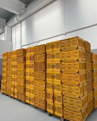 Cassette per frutta ortaggi e verdure