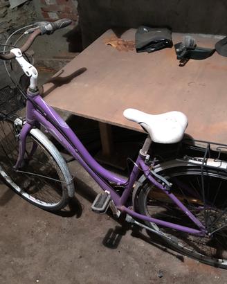 Bicicletta Laguna