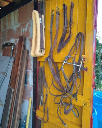 Cavallo accessori Western Traino carrozza singola