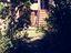 Immagine 5