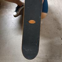 skateboard 4 ruote 