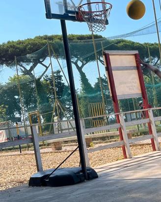 Canestri Basket Lifetime Powerlift (coppia)