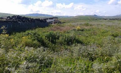 RGE 21/2013 Trib ENNA - LOTTO 6