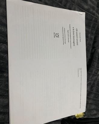 Gli esseri umani e le loro immagini.

