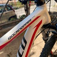 specialized rockhopper 29"