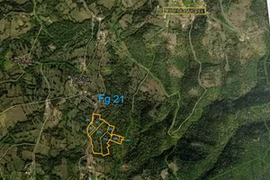 Terreno 6 ettari