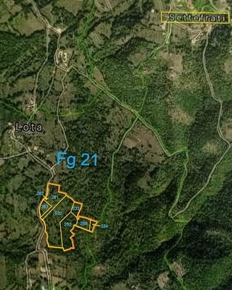 Terreno 6 ettari