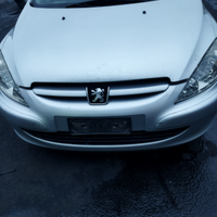 Musata 307 2004
