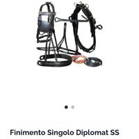 Filimenti cavallo per calesse