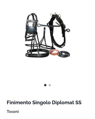 Filimenti cavallo per calesse