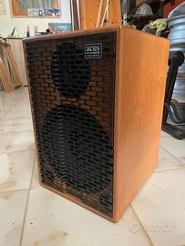 Amplificatore Acus per chitarra acustica