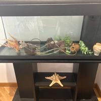 Acquario con mobile