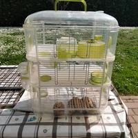 Gabbietta per CRICETI 