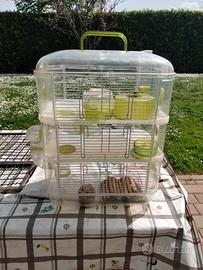 Gabbietta per CRICETI 