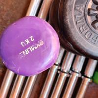 coppia manubri da 2 kg