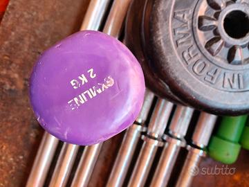 coppia manubri da 2 kg