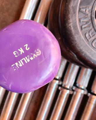 coppia manubri da 2 kg