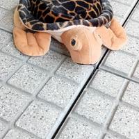 Peluche tartaruga