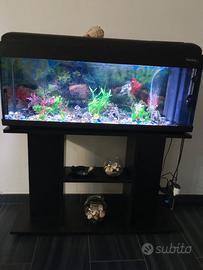  Acquario 100 litri 