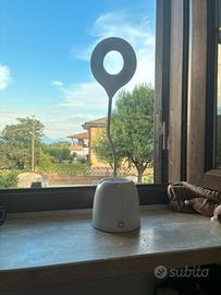 lampada