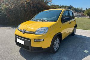 Fiat Panda 1.0 FireFly S&S Hybrid Pandina- 1.516 K