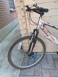 bicicletta