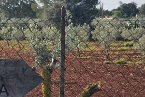 Terreno a Caltagirone