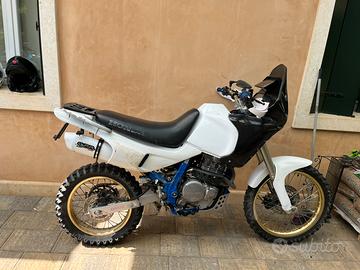 Honda dominator rally