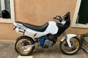 Honda dominator rally