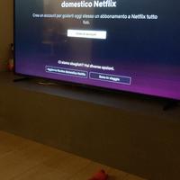 N 2 smart tv hisense 65 pschermo rotto