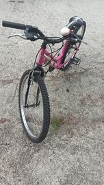 bicicletta 