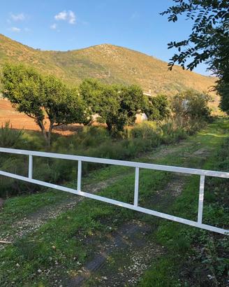 Terreno e magazzino
