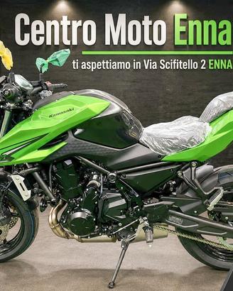 Kawasaki Z 650 S & Z 500 - 2026 Intera Gamma