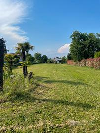 Terreno edificabile 2.000mq