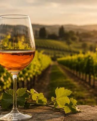vino da tavola