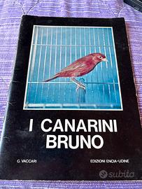 I canarini Bruno