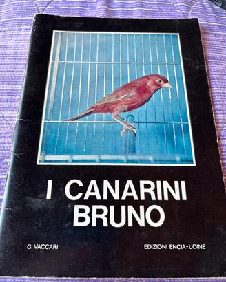 I canarini Bruno