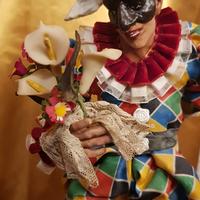 Arlecchino maschera napoletana 