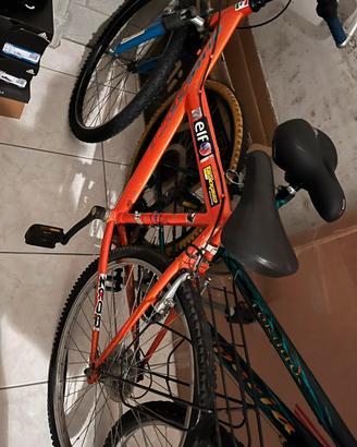 Bicicletta mountain bike