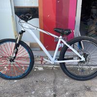 Wheelie Bike Adriatica