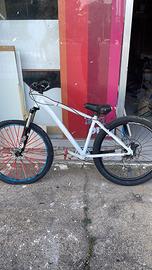 Wheelie Bike Adriatica