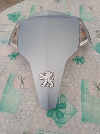 Geopolis carena ant.