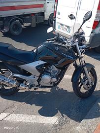 moto Yamaha 250 