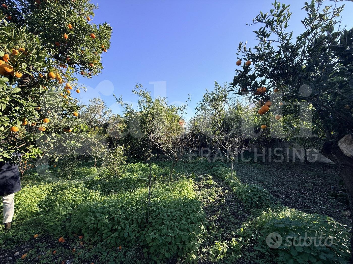 Terreno Agricolo Sant'Egidio del Monte Albino - Vista 4