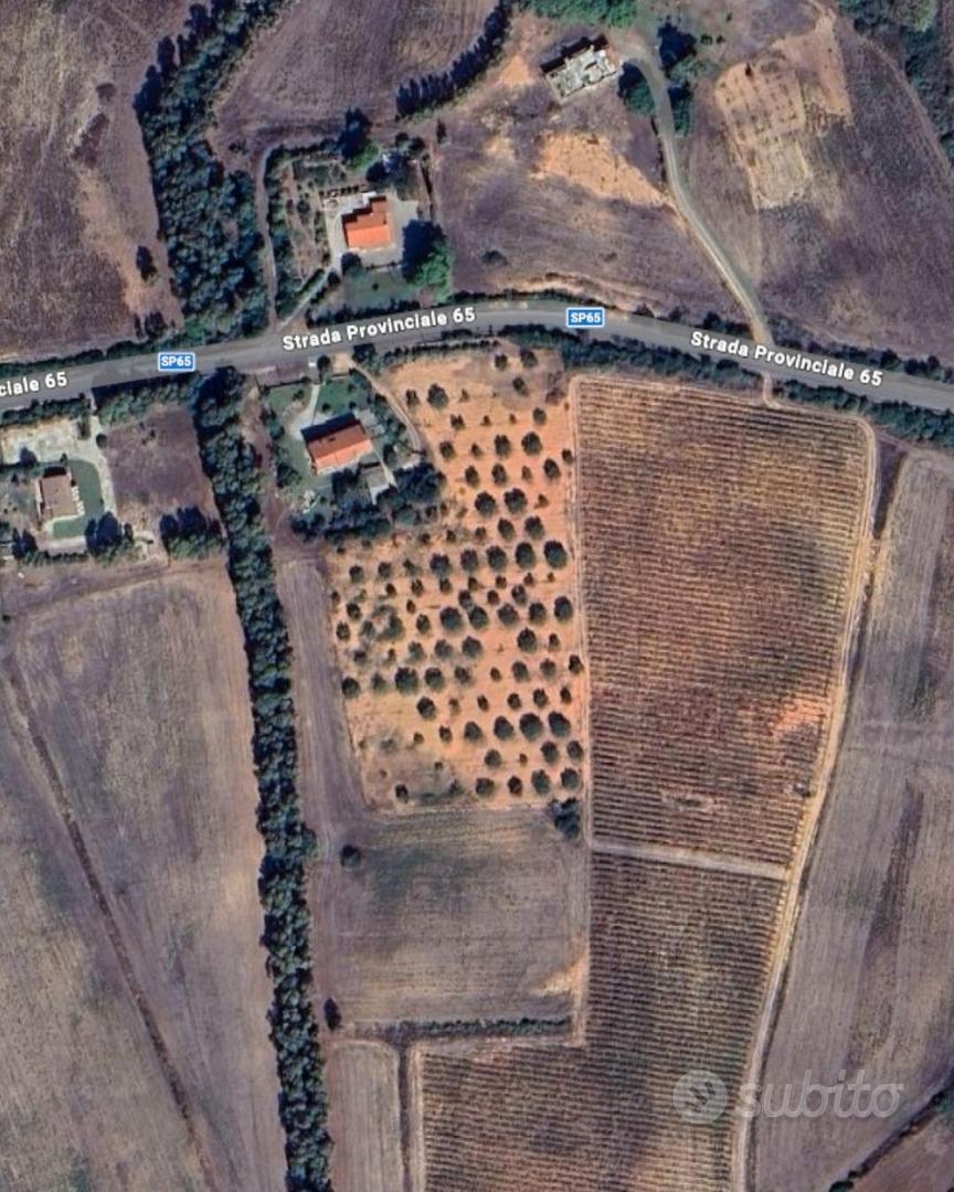 Terreno edificabile zona Baratz e Porto Ferro - Vista 5