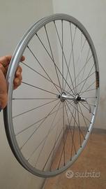 RUOTA COMPLETA AMBROSIO/CAMPAGNOLO 