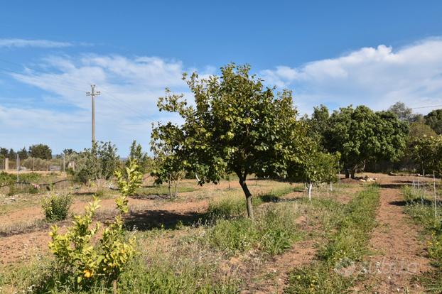 Terreno agricolo