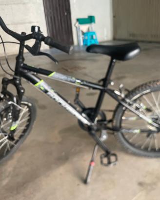 Mountain bike 20